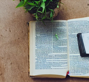 관광법사례연구 이미지